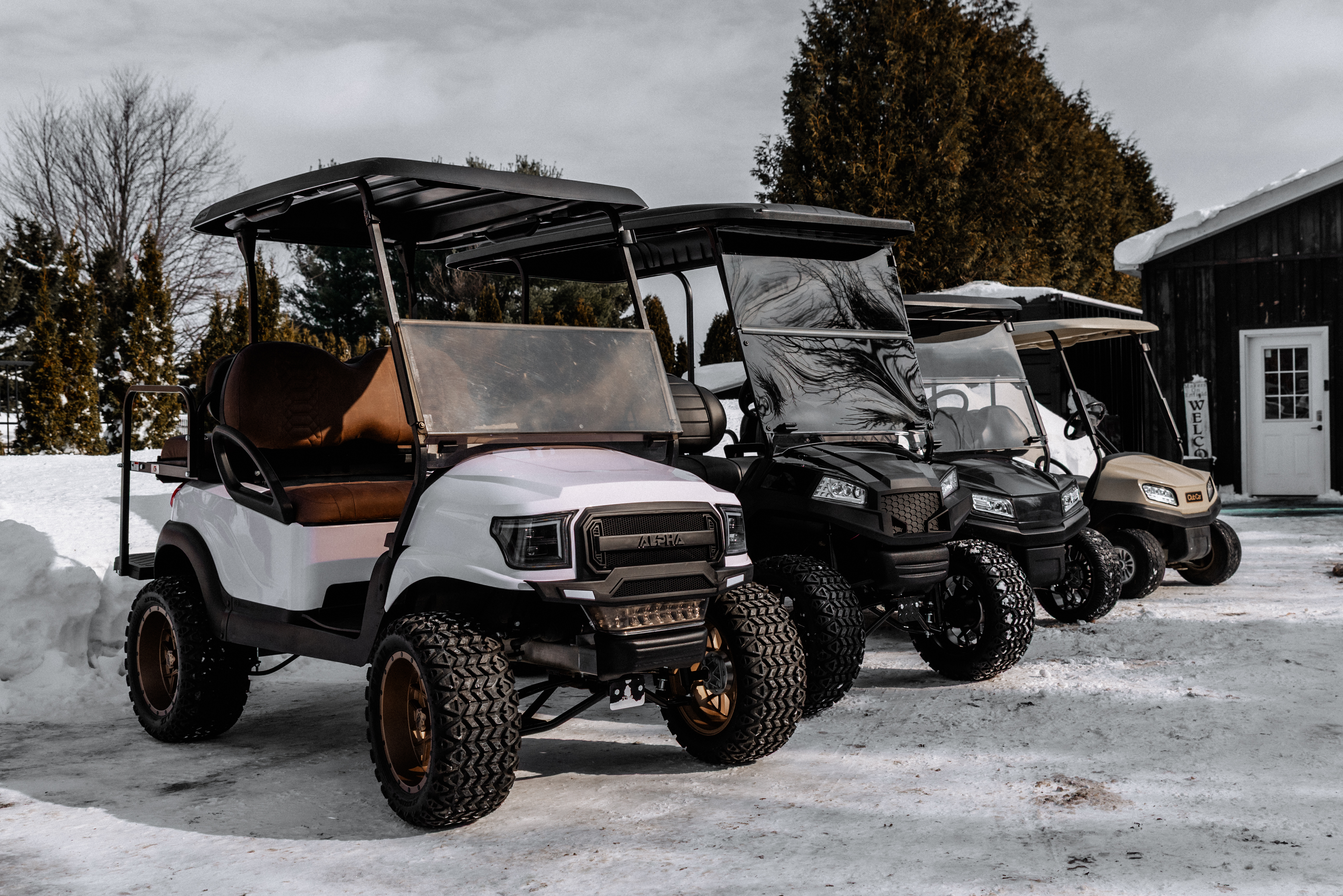 Images shows a line up of premium golf carts in Ontario Canada